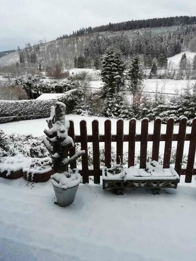 Haus Ani Winterberg 빌라 외부 사진